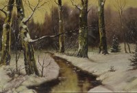 Lesní potok v zimě - detail