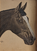 Hlava koně - detail