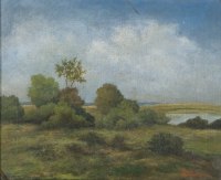 Krajina s rybníkem - detail
