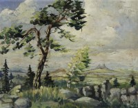 Trosky - detail