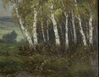 Březový háj - detail